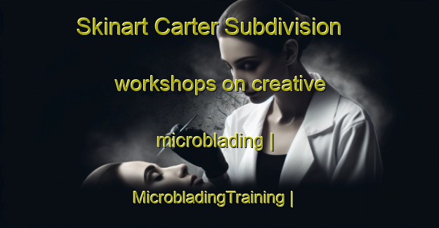 Skinart Carter Subdivision workshops on creative microblading | MicrobladingTraining | MicrobladingClasses | SkinartTraining-United States